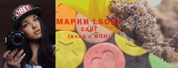 спайс Богданович