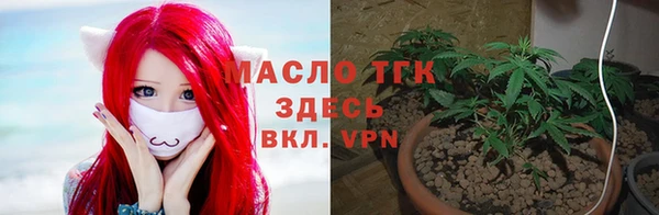 твердый Богородск