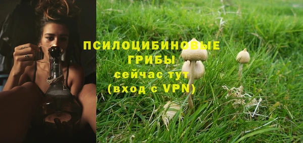 спиды Бугульма
