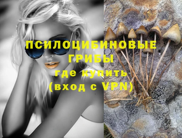 спайс Богданович