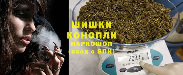 спайс Богданович