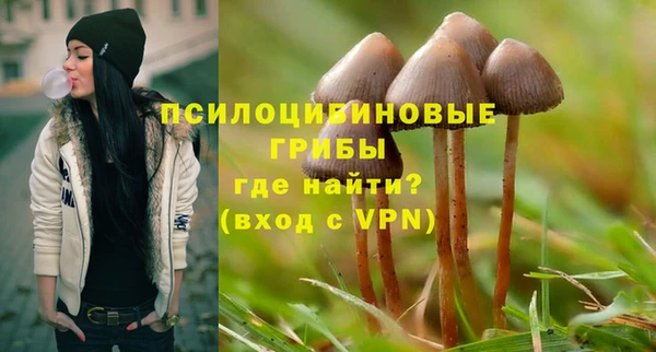 ешки Саяногорск